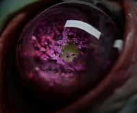 Image 5 of Custom pop socket, Purple Planet Eye, Custom Swappable Phone Grip / Socket for smartphones