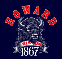 Image 3 of UNISEX Vintage Howard Bison T-shirt