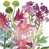 Image 11 of Diana Fegredo Watercolour Flower Garden 2025 Wall Calendar