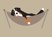 Image 3 of Bernese Mountain Dog Collection