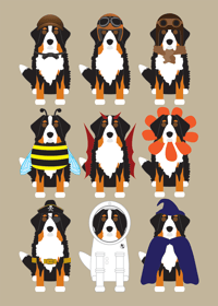 Image 2 of Bernese Mountain Dog Collection