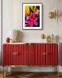 Image 3 of A SERIOUS STARGAZER (36X24)