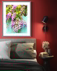 Image 2 of CREEPING WISTERIA (36X24)