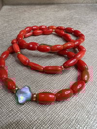 Image 4 of Coralissime