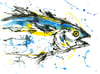 Tuna... Limited Edition Giclee Prints and Original