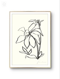 Image 2 of House Plant pt.02 - art print