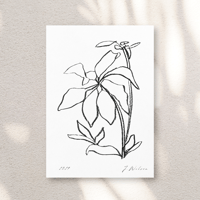 Image 1 of House Plant pt.02 - art print