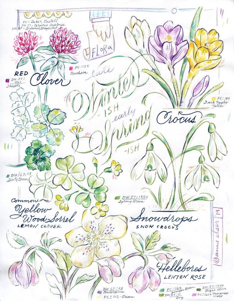 Image of FLORA v 4.1 