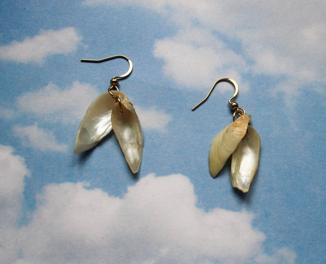 Image of shell wing earrings