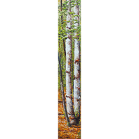 - Two Birch -
