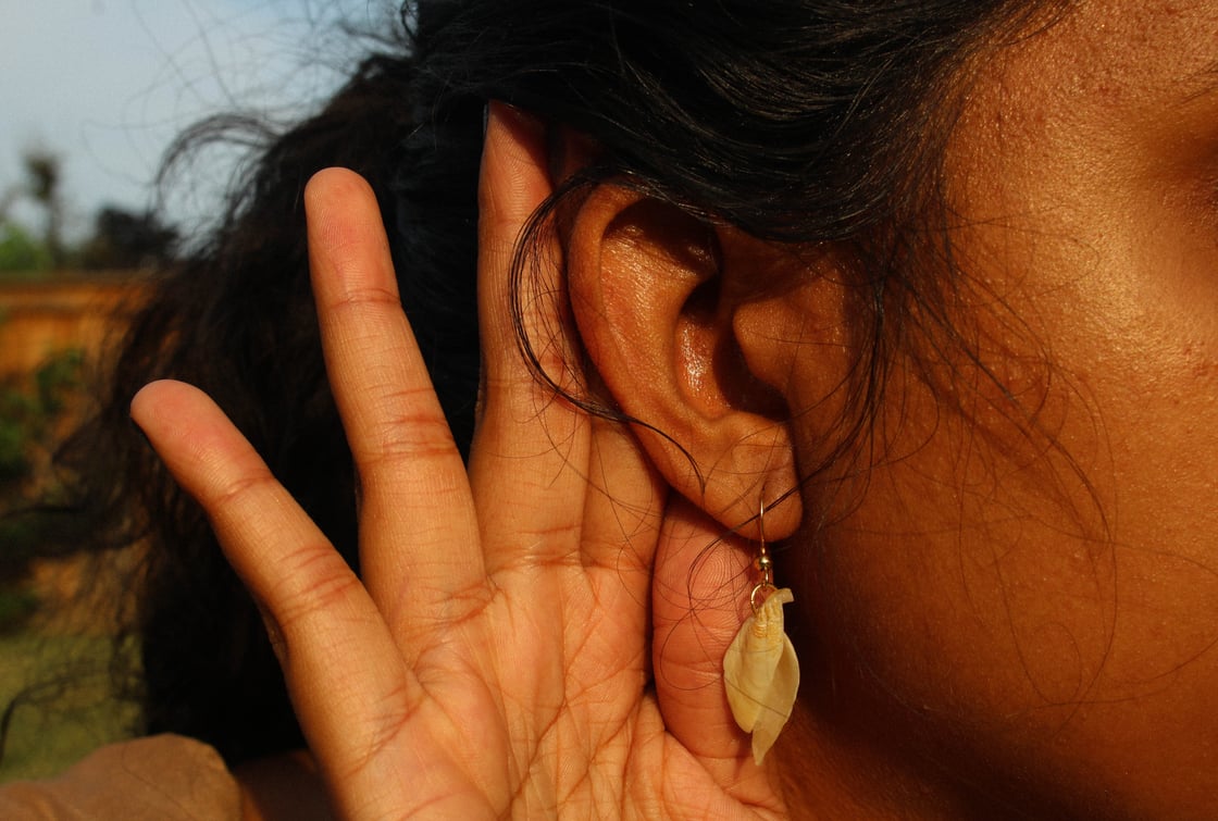Image of shell wing earrings