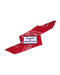 Image 1 of RED BANDANA