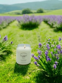 Image 2 of No Stress Zone 12 oz Apothecary Soy Wax Candle
