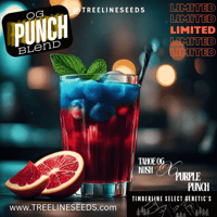 Image 1 of Timberline Select ~ OG Punch Blend