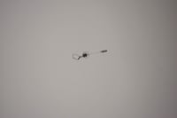 Image 11 of Helm Earring