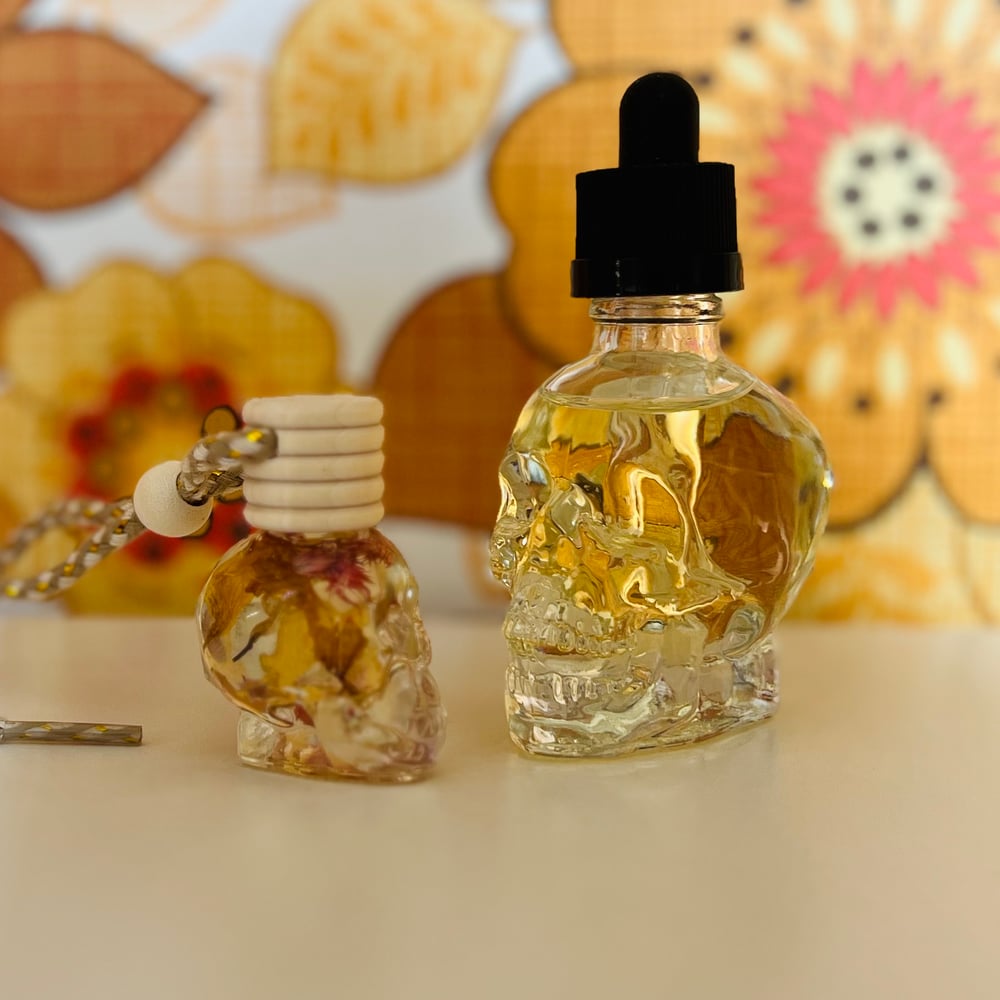 Image of Skull Car Diffuser Set