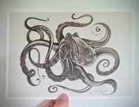 Image 2 of Octopus - A5 Art Print 