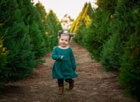 Image 4 of Christmas Tree Farm Mini's - RETAINER FEE ONLY