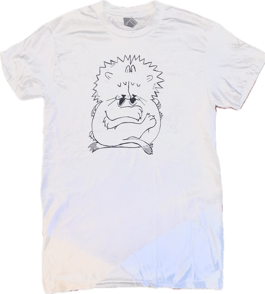 Image of Fruity Noah’s Ark Tee- Small on white shirt