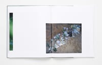 Image 8 of Viviane Sassen - Parasomnia *Signed*