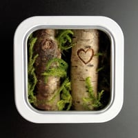 Image 1 of True Love Forest Magnet