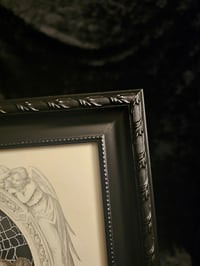 Image 4 of 1800s Bible Page "Jesus Thorn Crown” And Real Preserved Web