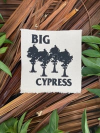 Big Cypress Patch