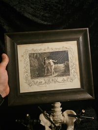 Image 1 of STATEMENT " Expulsion of paradise" Preserved Web  Framed In Antique Frame 