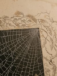 Image 6 of STATEMENT " Expulsion of paradise" Preserved Web  Framed In Antique Frame 