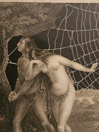 Image 7 of STATEMENT " Expulsion of paradise" Preserved Web  Framed In Antique Frame 
