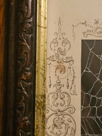 Image 4 of "Davids victory over Golliath” 1800s Bible page with preserved web 