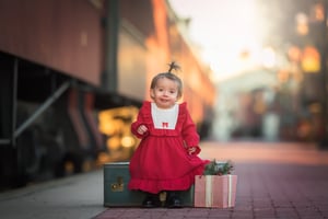 Image of 2026 Vintage Holiday Train Station Retainer fee