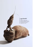 Image 3 of Oorbellen Star Kiss