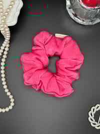 Fuchsia Classic