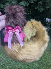 Image 2 of Add-on: Tail Bow!