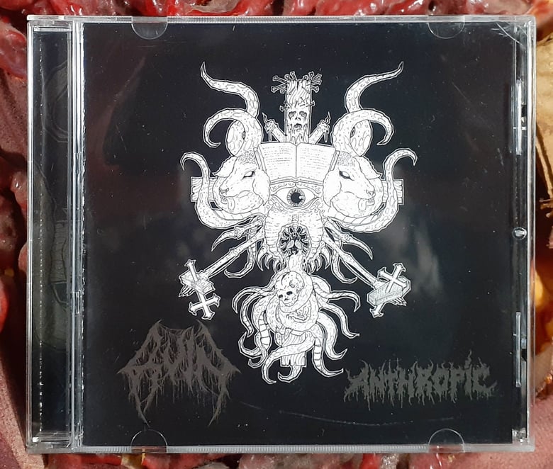 Image of RUIN / ANTHROPIC - Split CD