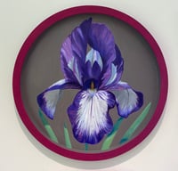 Image 2 of Sweet Iris II