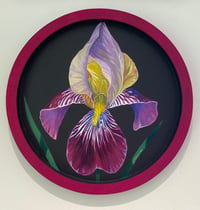 Image 2 of Sweet Iris III