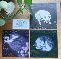 Image 1 of forest cats - square prints