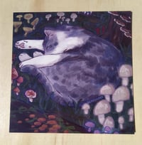 Image 2 of forest cats - square prints