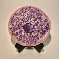 Nautilus Plate 3
