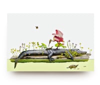Image 2 of Migrations Postcard Set