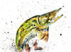Pike... Limited Edition Giclee Prints and Original