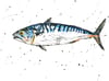 Mackerel... Limited Edition Giclee Prints and Original