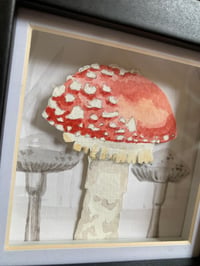 Image 2 of *SOLD* Fly Agaric mushroom 