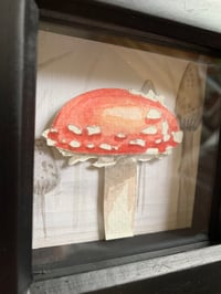 Image 2 of Fly Agaric Shroom