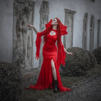 Image 1 of Red Lace Gothic Mermaid Wedding Dress with Bat Sleeves, Long Train, with  Gothic Collar 