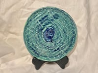 Nautilus Plate 5