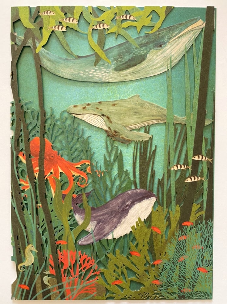 Image of Under the Sea Card