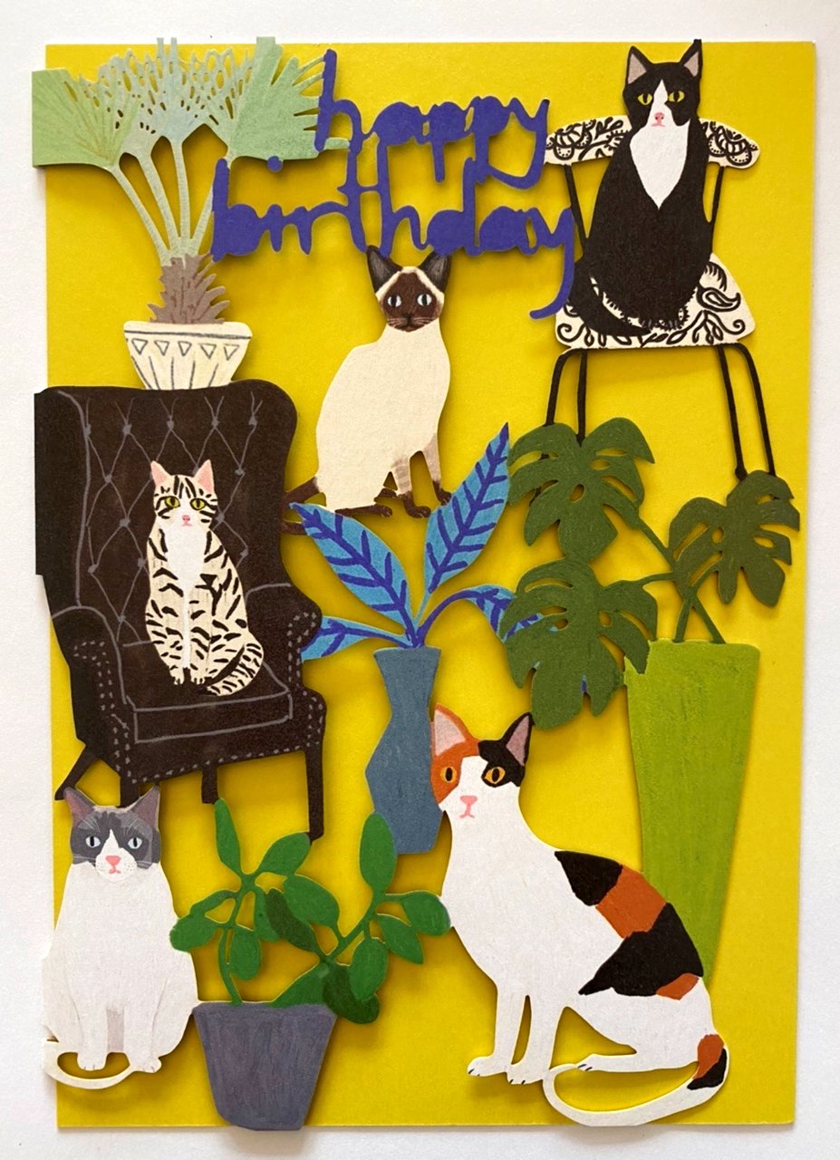 Image of Cats and Plants Birthday Card